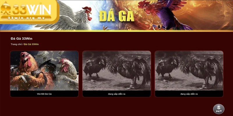 Đá gà 33WIN là một sảnh cá cược hấp dẫn và thú vị hàng đầu hiện nay