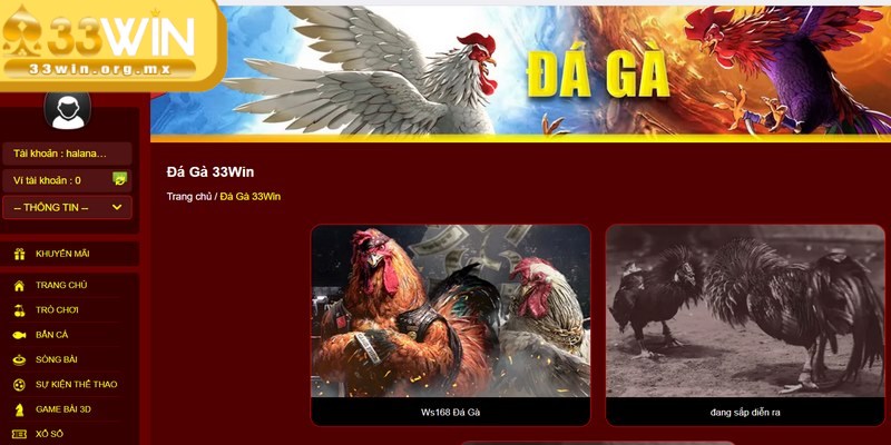 Với chương trình ưu đãi này ai ai cũng có thể nhận thành công